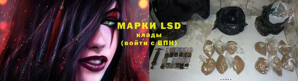 apvp Алексин