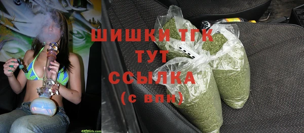 стаф Алексеевка