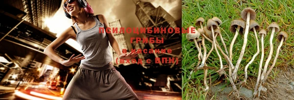 ПСИЛОЦИБИНОВЫЕ ГРИБЫ Алзамай