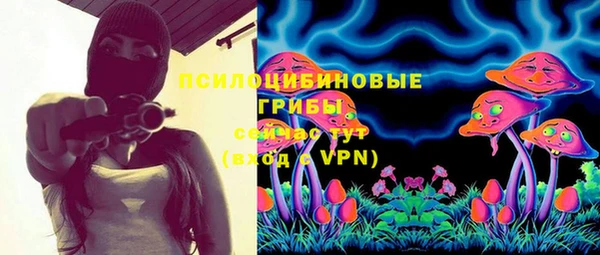 apvp Алексин