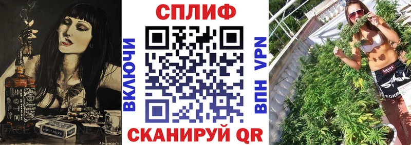 сайты даркнета состав Миллерово Канабис SATIVA & INDICA блэк спрут зеркало